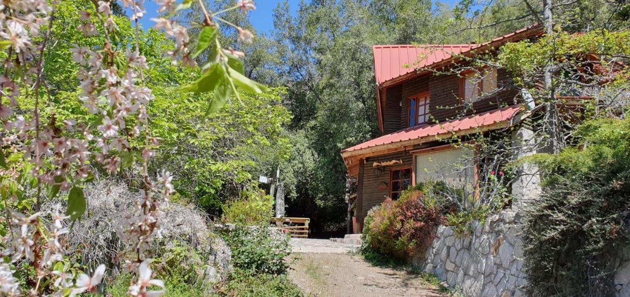 Casa De Montana Inmersa En Bosque Nativo San José de Maipo 외부 사진